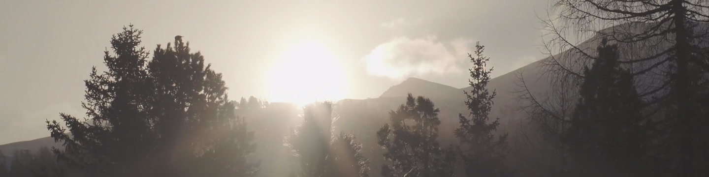 Inspire, care and enjoy life